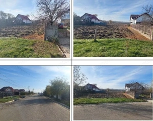 Teren Saucesti, cota parte de 1/6 ID: R2429025