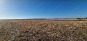 Teren Gradinari, cota 1/2. ID: R1983933