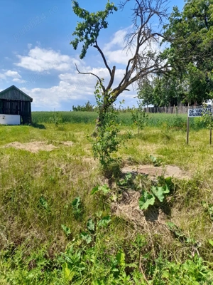 Teren constructie casa - imagine 3