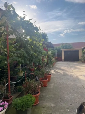 Vand casa situata central , str.L.Rebreanu , langa parcul din strand - imagine 20