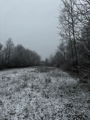 Vând teren intravilan Urleta