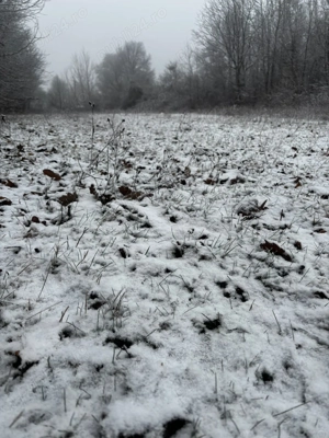 Vând teren intravilan Urleta - imagine 3