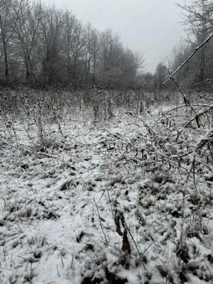 Vând teren intravilan Urleta - imagine 4