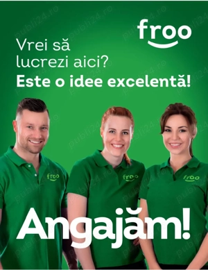 Angajam colegi pentru magazinul Froo 