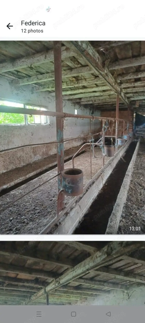 Vând sau închirez fermă - imagine 2