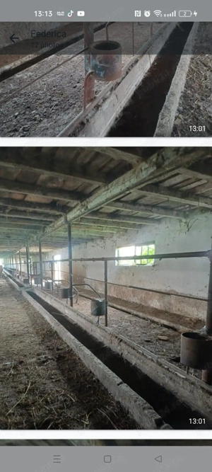 Vând sau închirez fermă - imagine 4