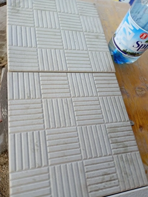 spalieri  pavele si placi de gard - imagine 2