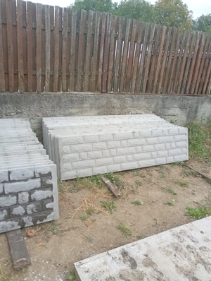 spalieri  pavele si placi de gard - imagine 4