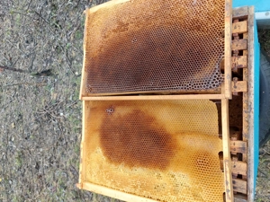 Vînd  Rame cuib 1 1 clădite și cu Miere