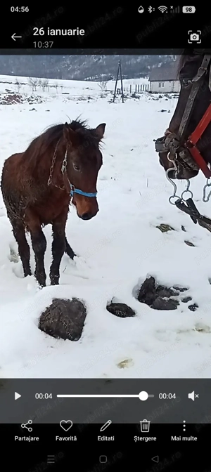  Schimb Mînz de 10 luni  - imagine 2