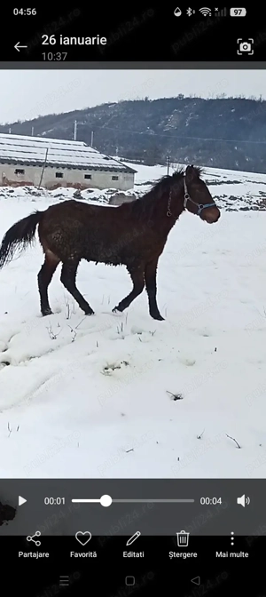  Schimb Mînz de 10 luni  - imagine 3