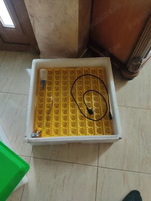 clocitoare - imagine 4