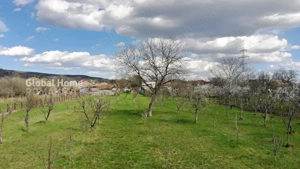 4898 MP Teren Intravilan | Prahova - Cornu De Jos | Toate Utilitatile Prezente - imagine 2