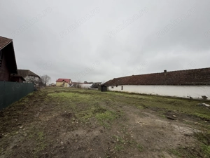 Teren Intravilan Becicherecu Mic 750mp,Utilitatile In Fata Parcelei,Asflat - imagine 3