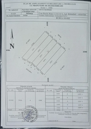 Vând teren la dunare - imagine 3