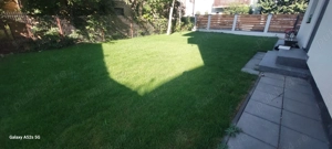 Vila P+1 Comuna Berceni - imagine 4