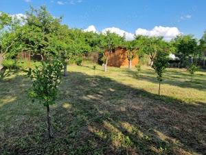 Teren 1250m intravilan Saftica