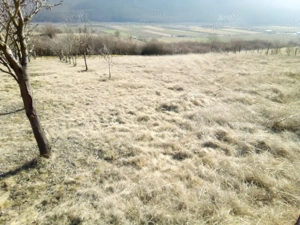 teren intre Sard si Ampoita