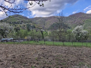 DE VANZARE- Proprietati și teren in comuna Malaia,sat Ciungetu(jud.Valcea) - imagine 9