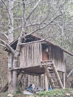 DE VANZARE- Proprietati și teren in comuna Malaia,sat Ciungetu(jud.Valcea) - imagine 8