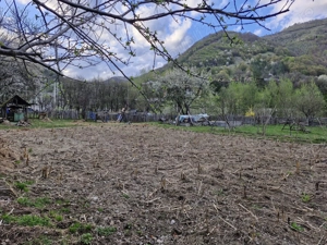 DE VANZARE- Proprietati și teren in comuna Malaia,sat Ciungetu(jud.Valcea) - imagine 5