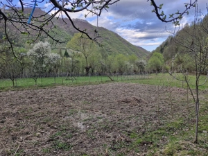 DE VANZARE- Proprietati și teren in comuna Malaia,sat Ciungetu(jud.Valcea) - imagine 10