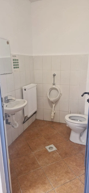 Spațiu comercial de închiriat  60 mp, Alba Iulia, Bd. Revoluției 1989, trafic pietonal intens - imagine 9