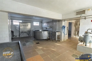 Fabrica de produse lactate+ birouri + 1.300mp teren, Ilieni, Covasna - imagine 17