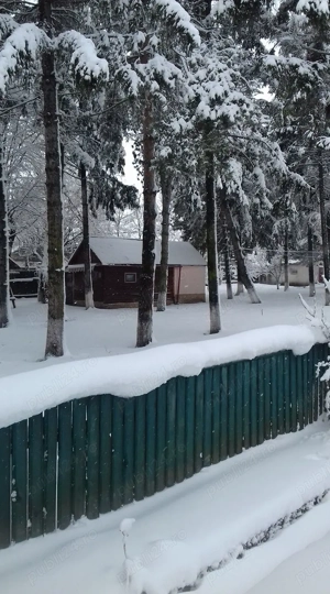  proprietate 5362 mp - imagine 7