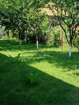 Vand casa si teren in Comanesti - imagine 5