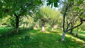 Vand casa si teren in Comanesti - imagine 7