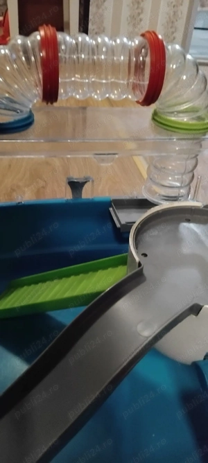 Cusca hamsteri - imagine 3