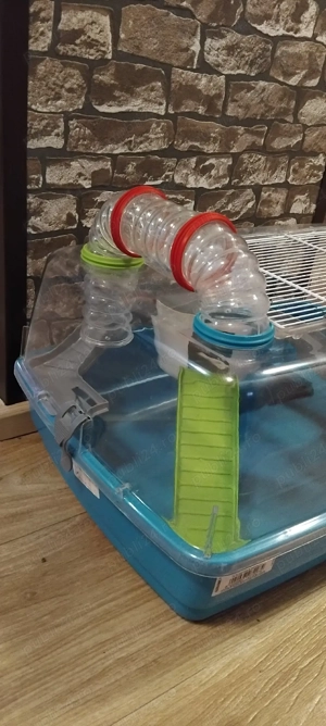 Cusca hamsteri - imagine 5