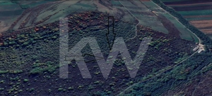 Teren Extravilan de vânzare, Hamba (Sibiu), 38.400 mp (3,84 ha), Pret competitiv - imagine 4