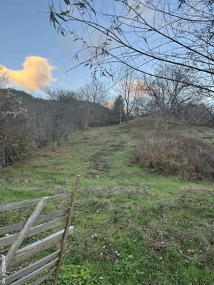 Vând teren la munte aproape de lepsa