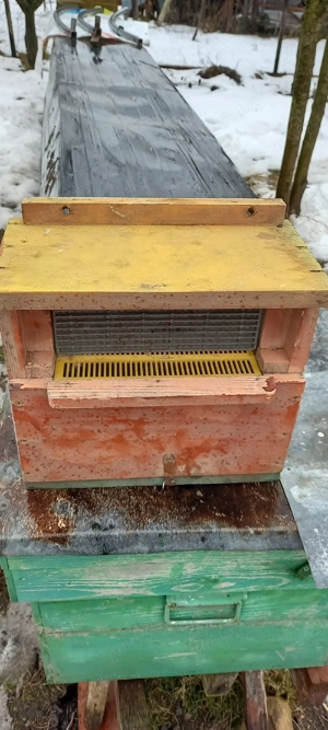 Vând  30.buc.colectoare de POLEN