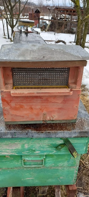 Vând  30.buc.colectoare de POLEN - imagine 2