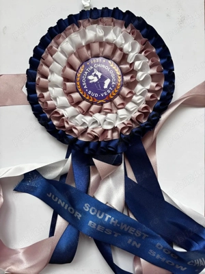 Mascul Samoyed foarte energic cu pedigree - imagine 4