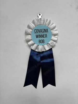 Mascul Samoyed foarte energic cu pedigree - imagine 3