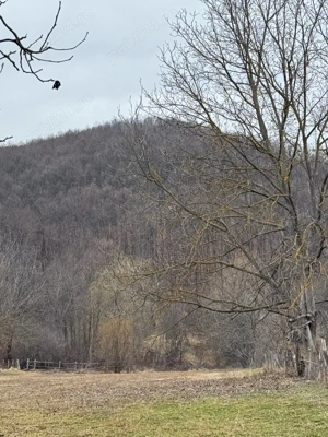 Teren de vanzare  - imagine 2