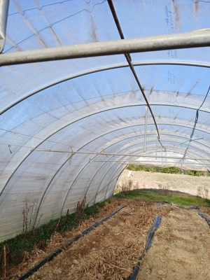 Solare zincate 140m  - imagine 3