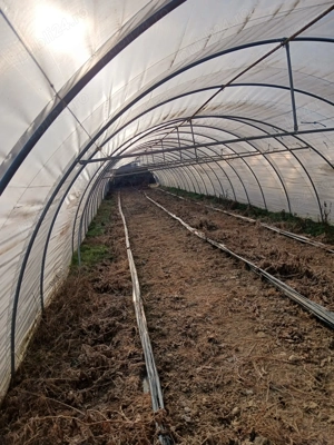 Solare zincate 140m  - imagine 4