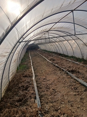 Solare zincate 140m  - imagine 5