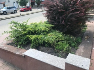 Spațiu administrativ ce se pretează pentru a fi un cabinet medical, de avocat  notariat - imagine 3