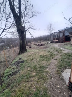 Casa de vanzare jud Bihor - imagine 9