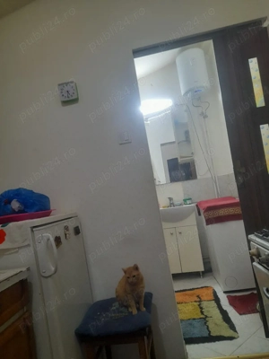 Casa de vanzare jud Bihor - imagine 5