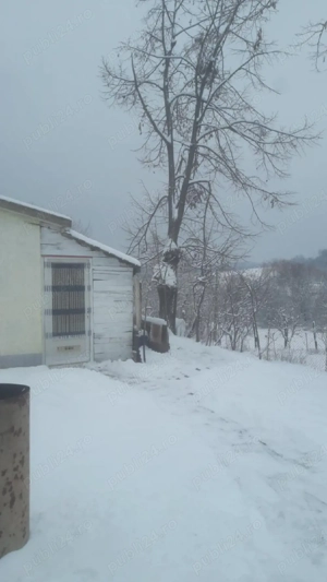 Casa de vanzare jud Bihor - imagine 10