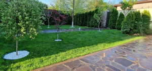 Fundulea   Vila 185 mp cu teren 4000 mp, potential dezvoltare imobiliara - imagine 5