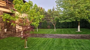 Fundulea   Vila 185 mp cu teren 4000 mp, potential dezvoltare imobiliara - imagine 2