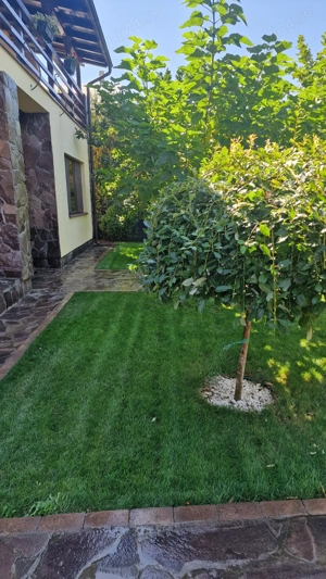 Fundulea   Vila 185 mp cu teren 4000 mp, potential dezvoltare imobiliara - imagine 7